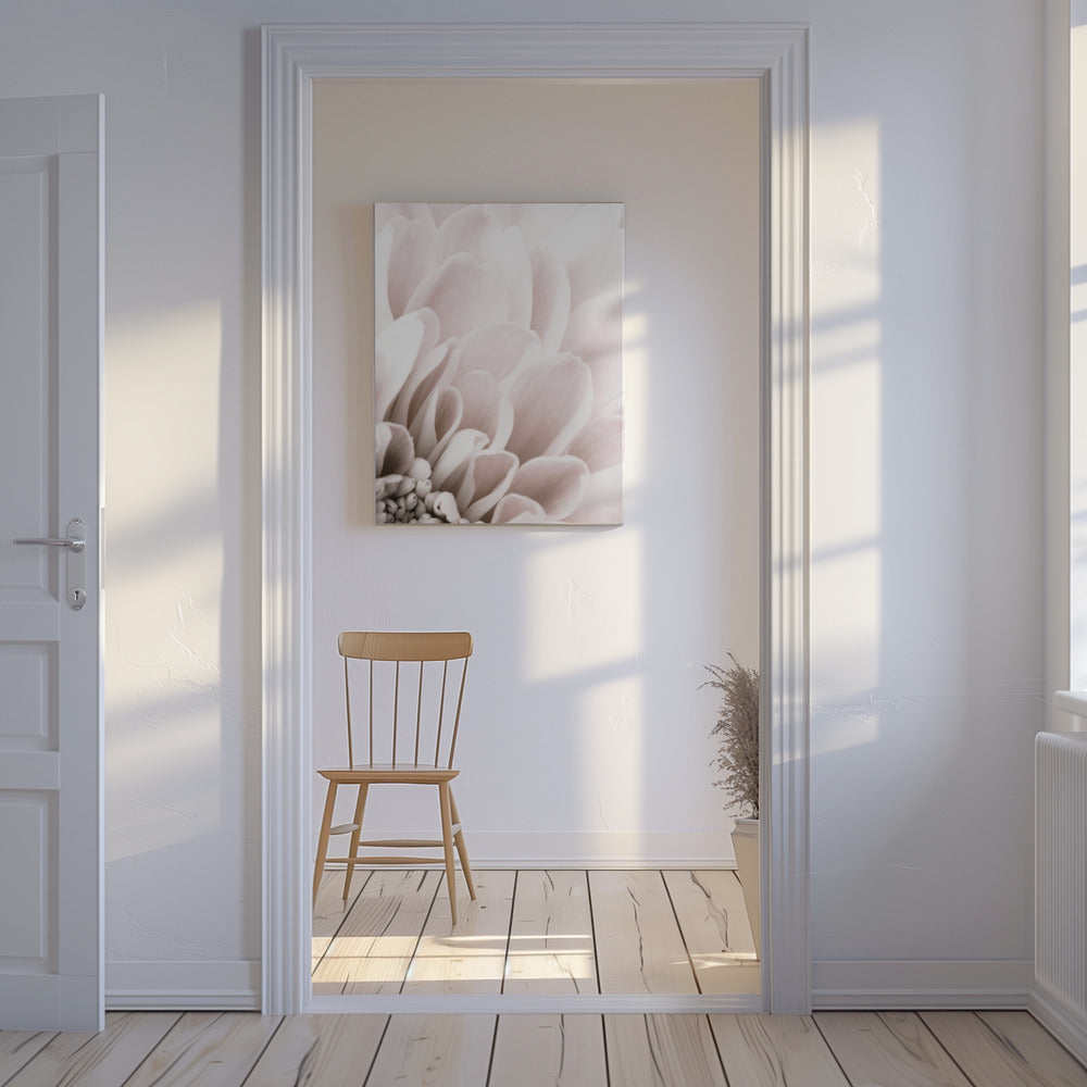 Chrysanthemum No 03 | Canvas