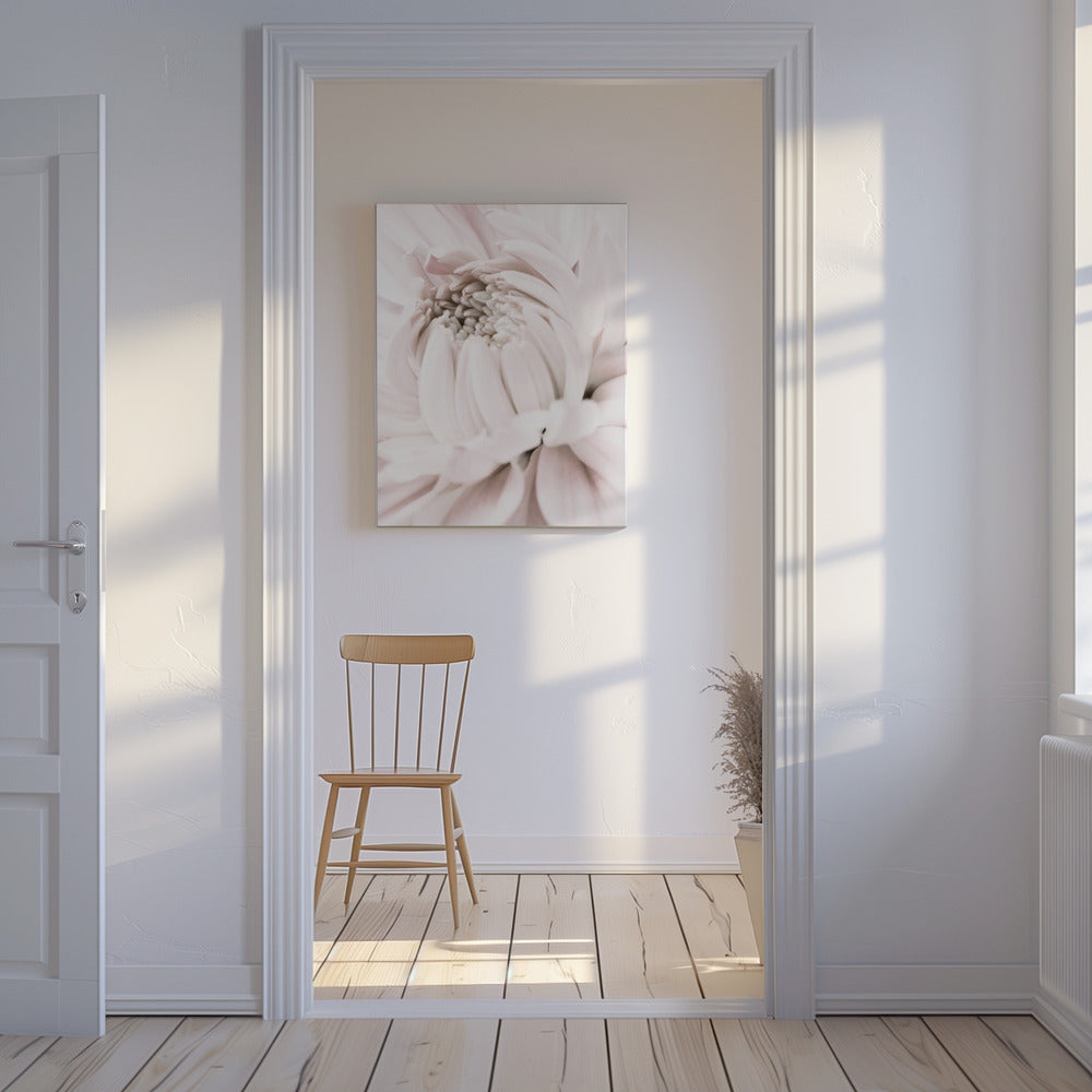 Chrysanthemum No 05 | Canvas