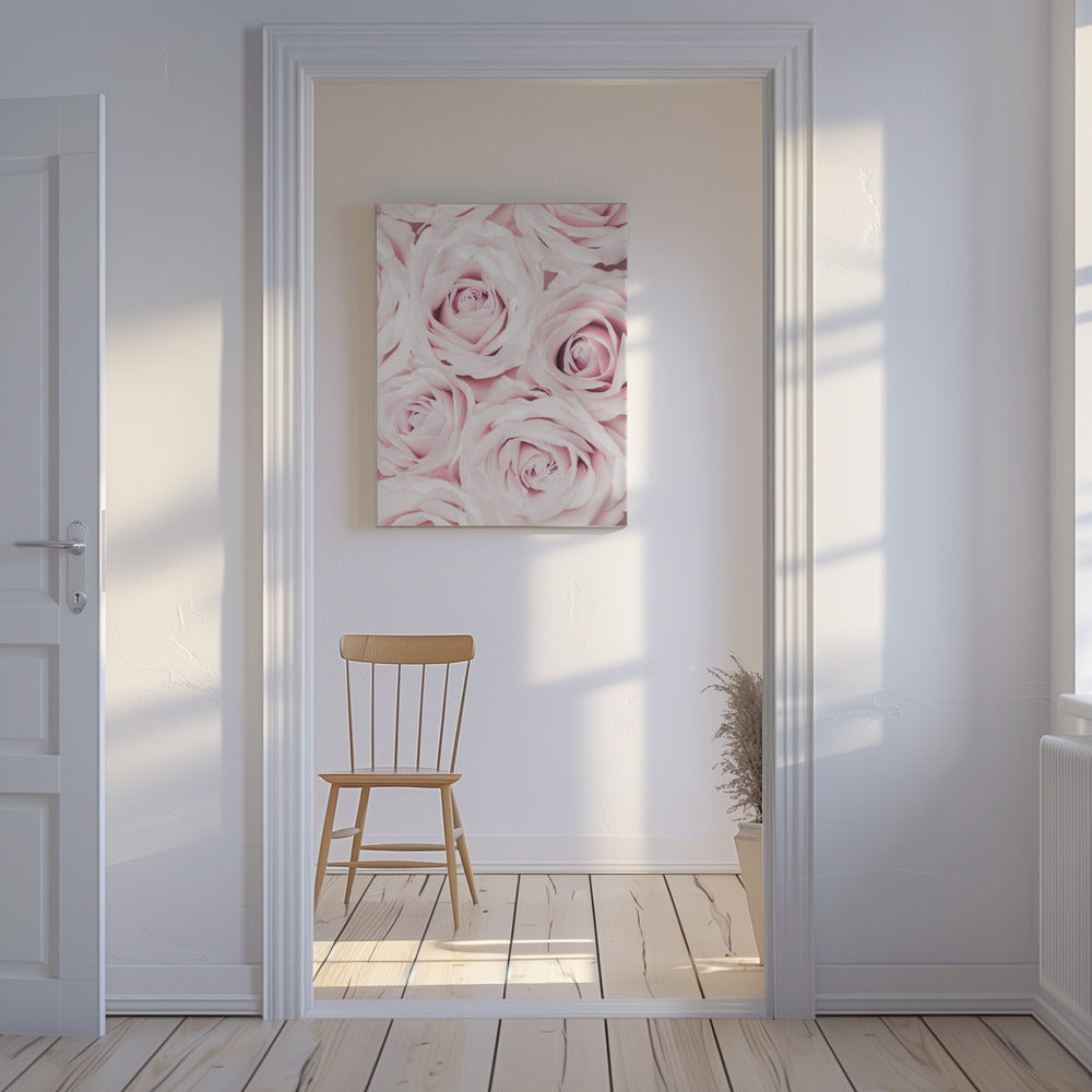 Rosa rosor nr 02 | Canvas