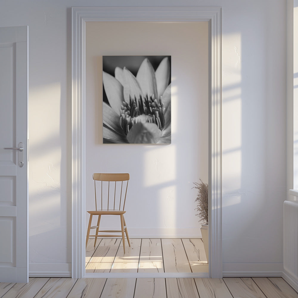 Blomma, närbild | Canvas