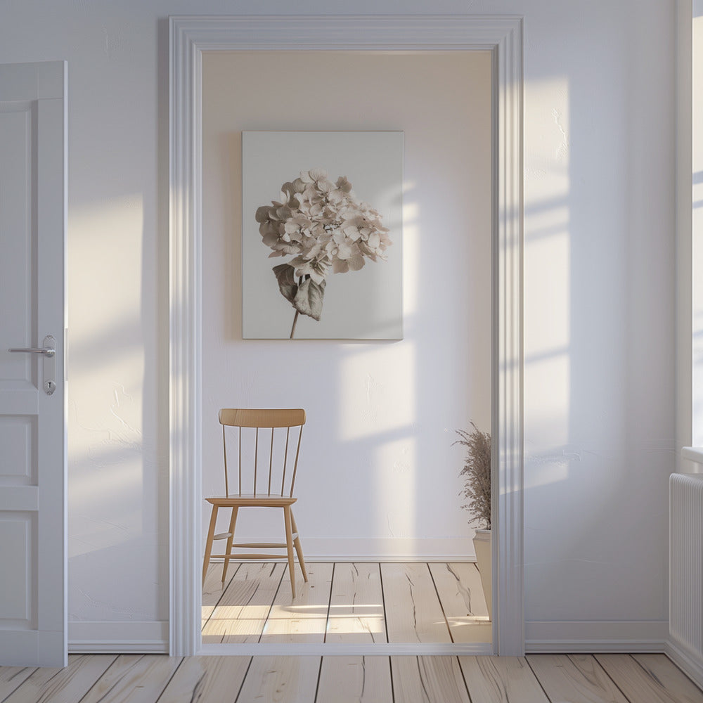 Beige torkad blomma | Canvas