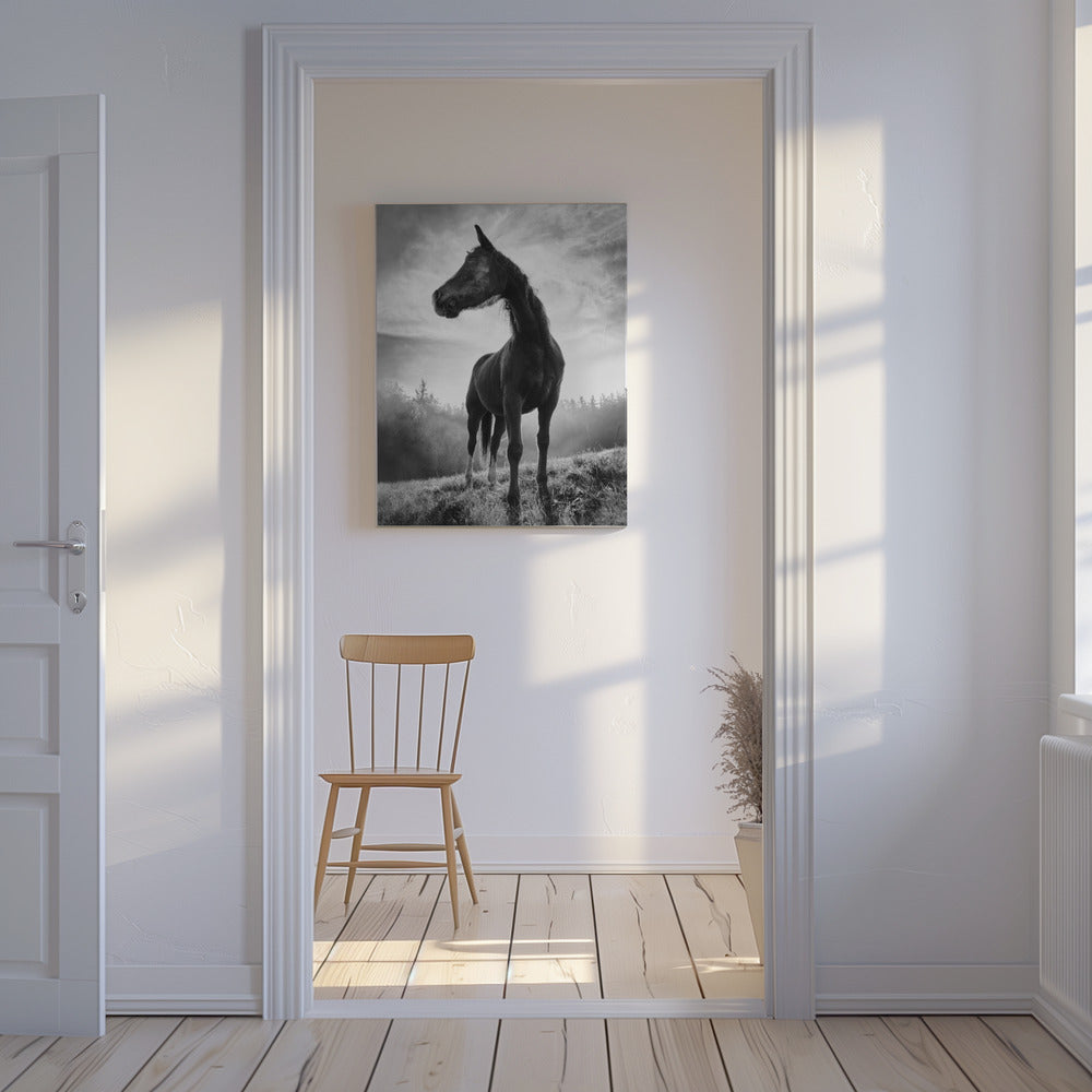Bakgrundsbelyst häst | Canvas