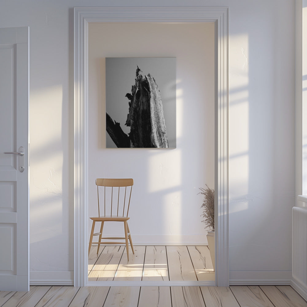 Våtmarker 1 | Canvas