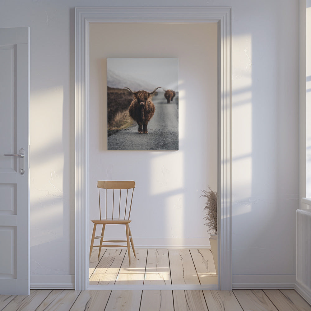 Kuh | Leinwand-Bilder