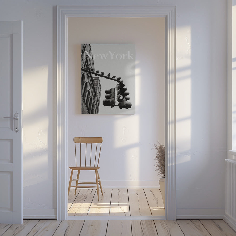 Colombe di New York | Stampe su Tela