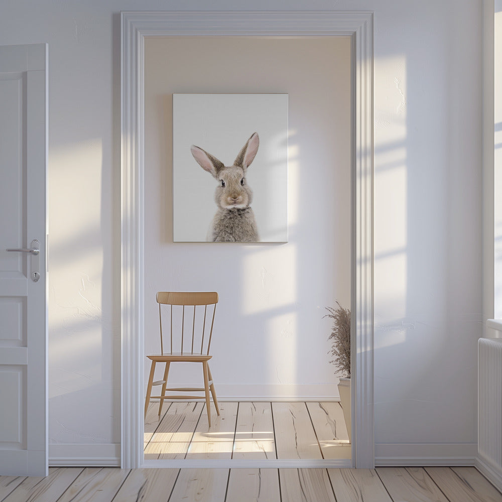 Kaninunge | Canvas