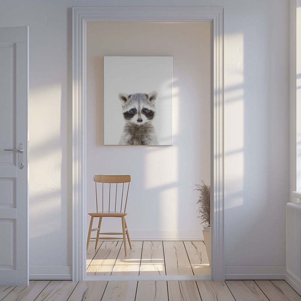 Bébé raton laveur | Tableaux sur Toile
