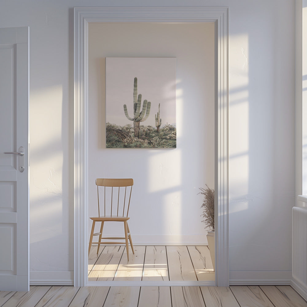 Rosa Saguaro | Canvas