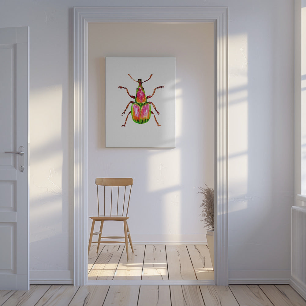 Apricot weevil or Epirhynchites auratus | Canvas