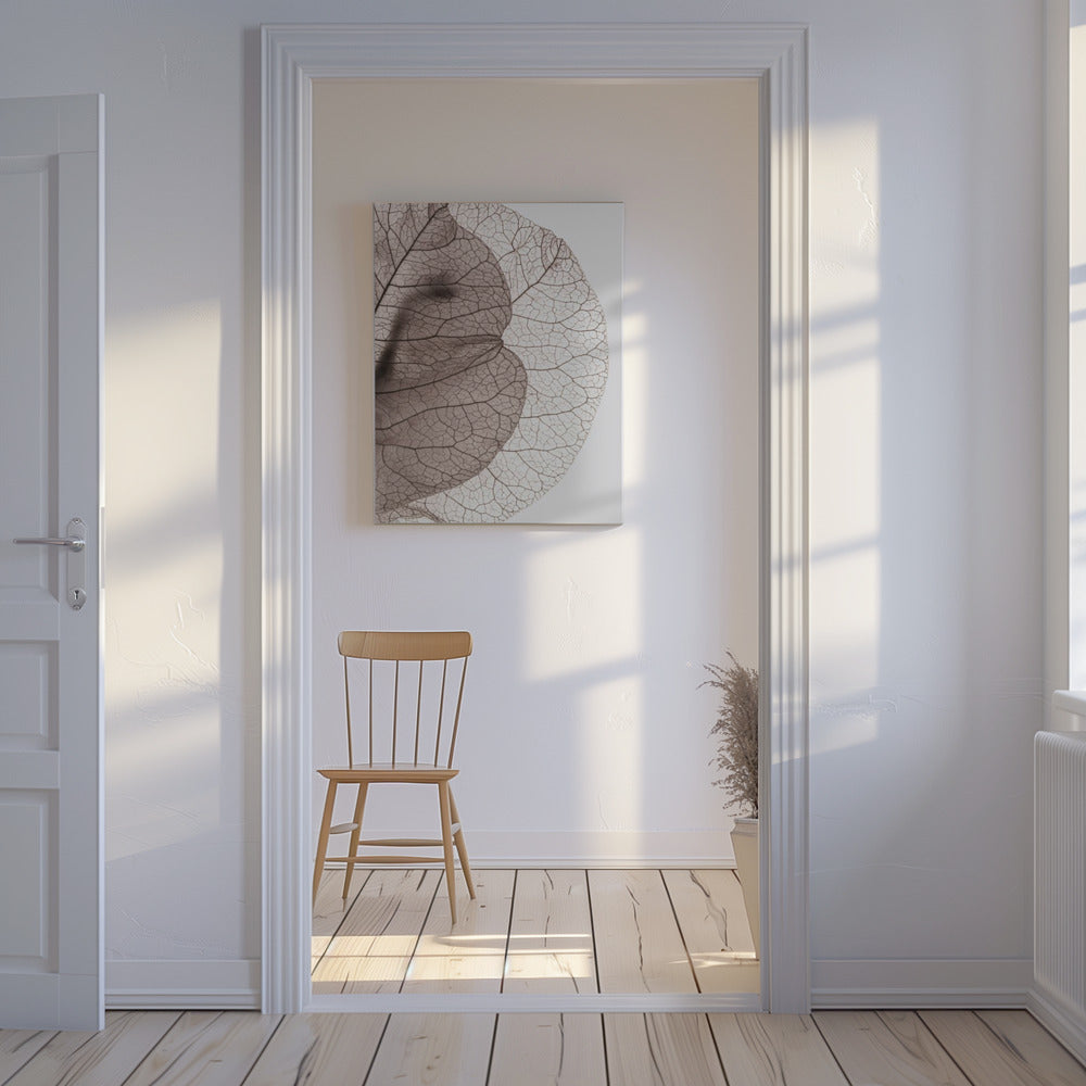 Bougainvilleaön | Canvas