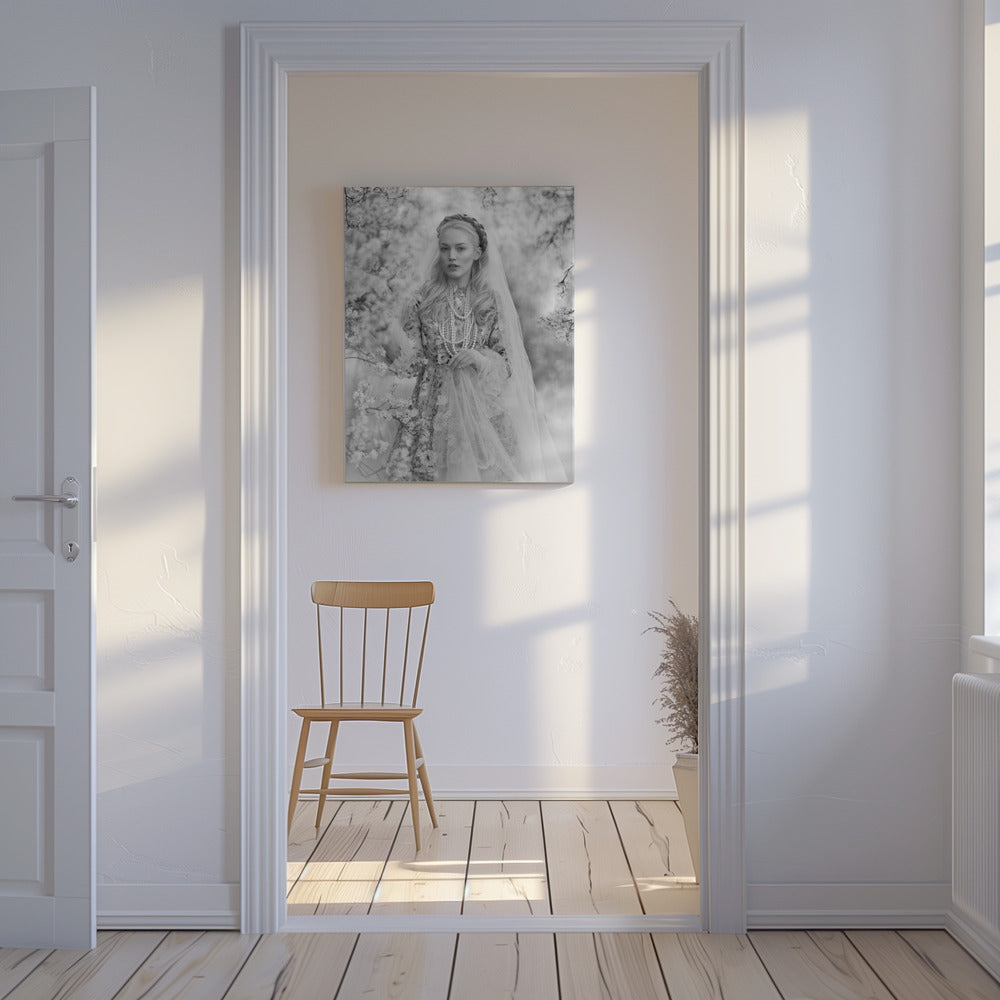 Stassy | Tableaux sur Toile
