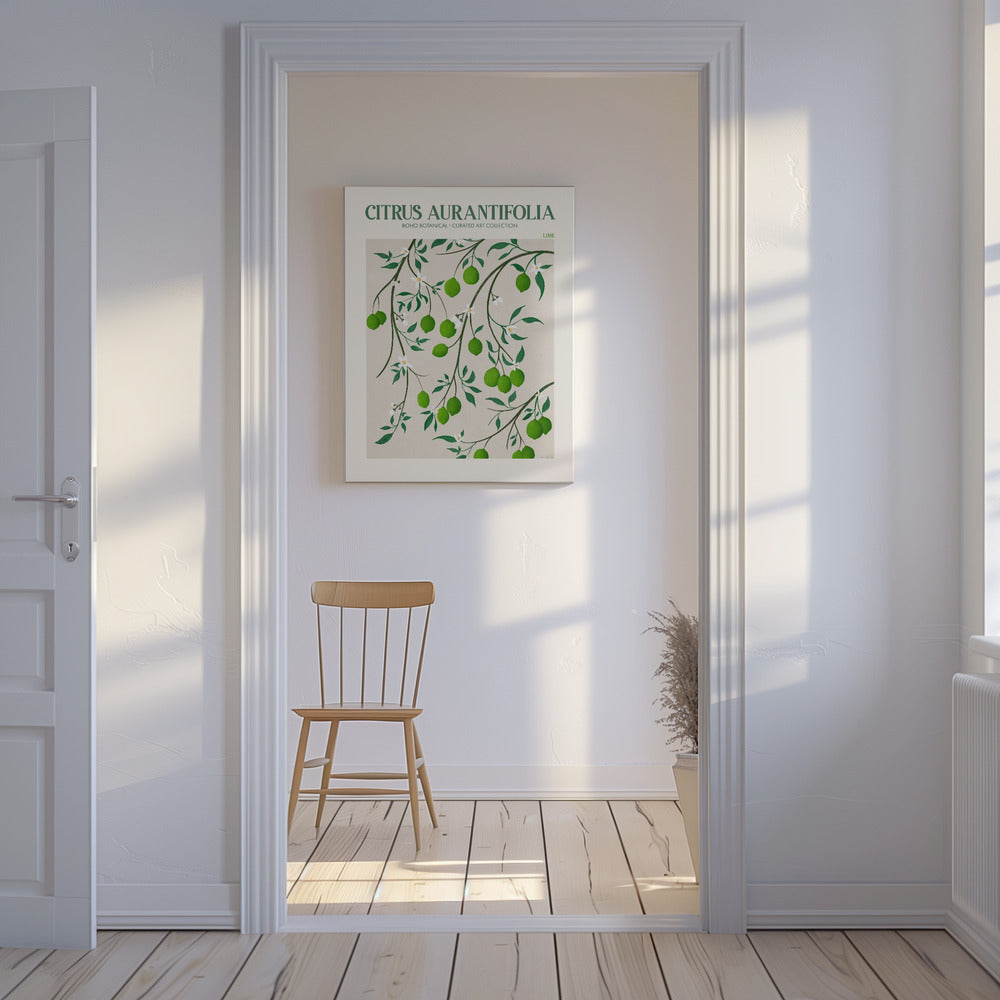 Citrus Aurantifolia-Citron vert | Tableaux sur Toile