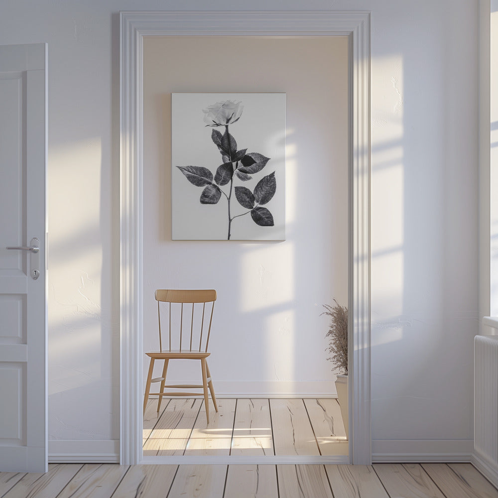 Rose | Canvas