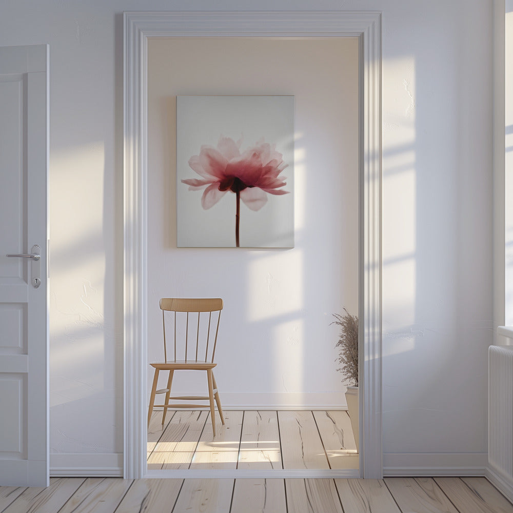 Pink Peony | Canvas
