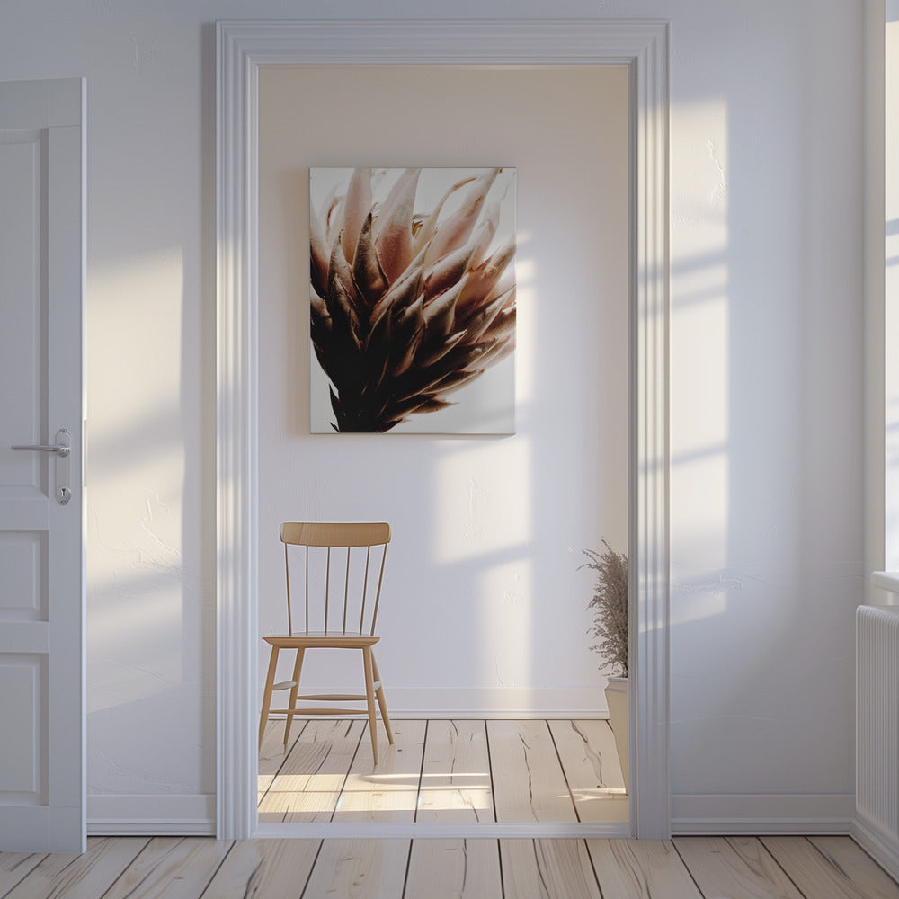 Protea | Canvas