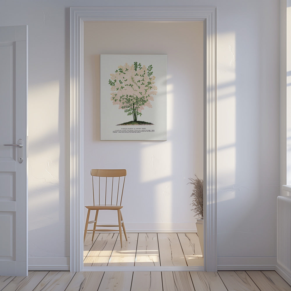 Lithographie de l'arbre à franges violettes | Tableaux sur Toile