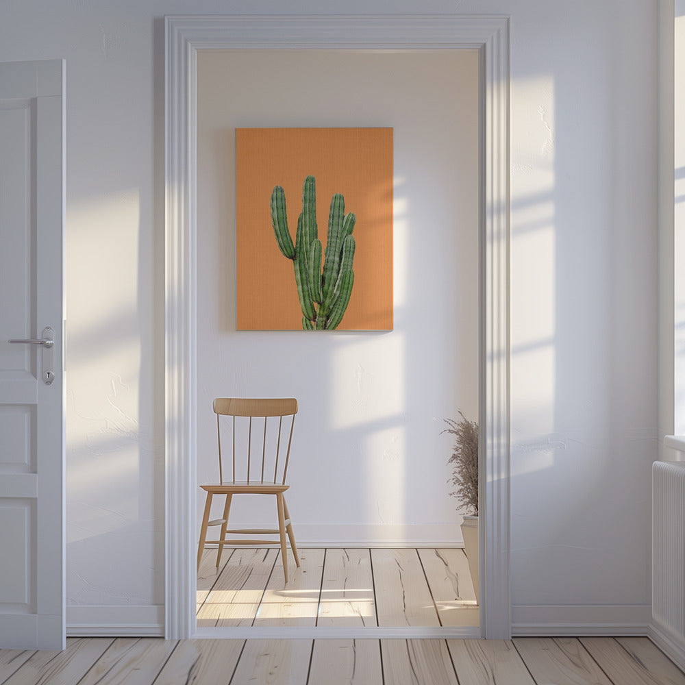 Orange Cactus | Tableaux sur Toile