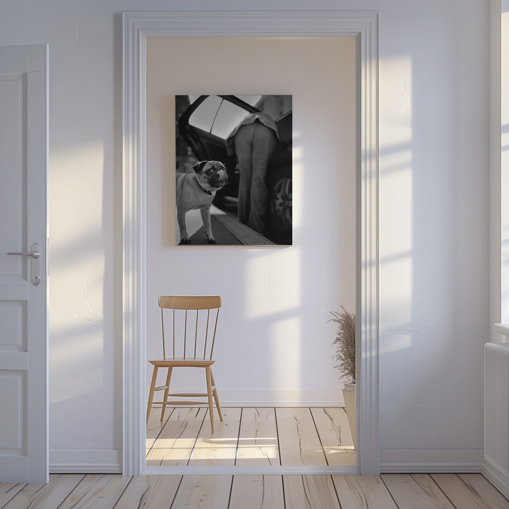 Uten tittel | Lerretsbilder
