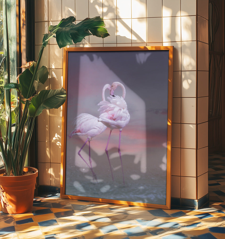 Flamingo Ballet | Poster