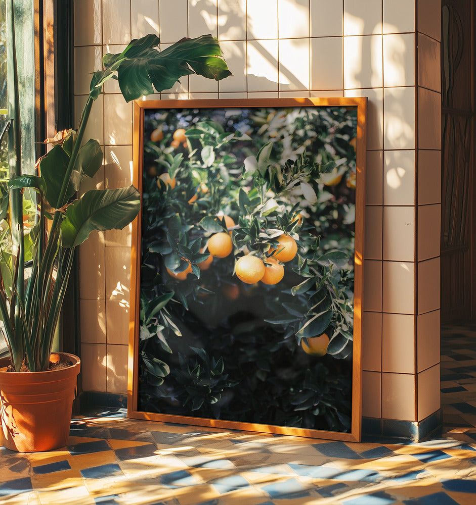 Marrakesh Oranges | Poster