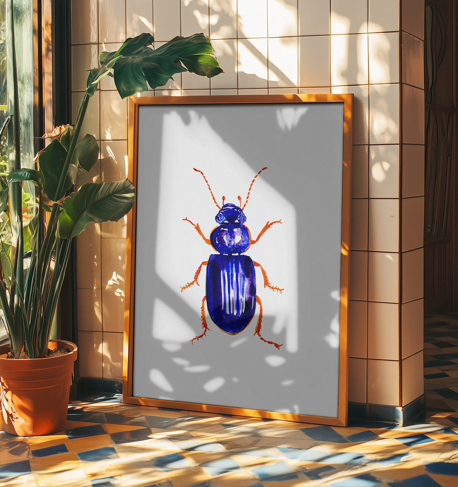 Ophonus minimus | Poster