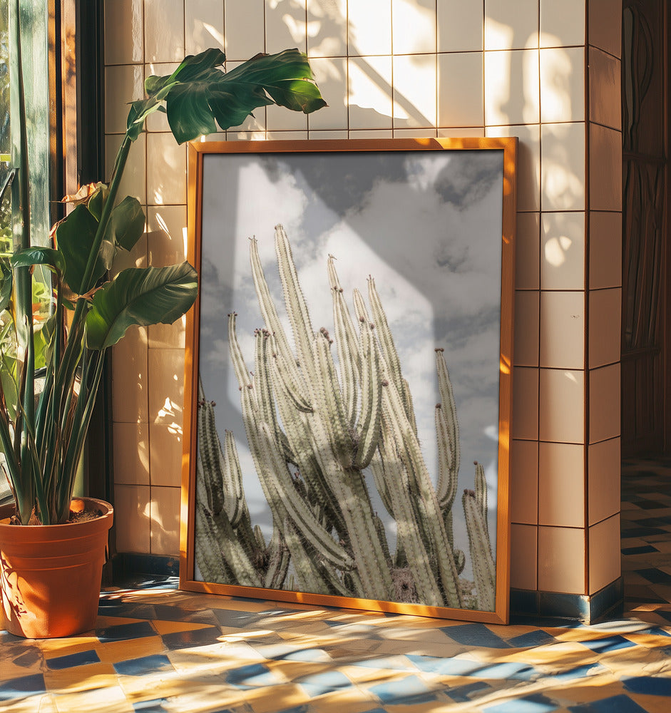 Desert Cathedral | Poster