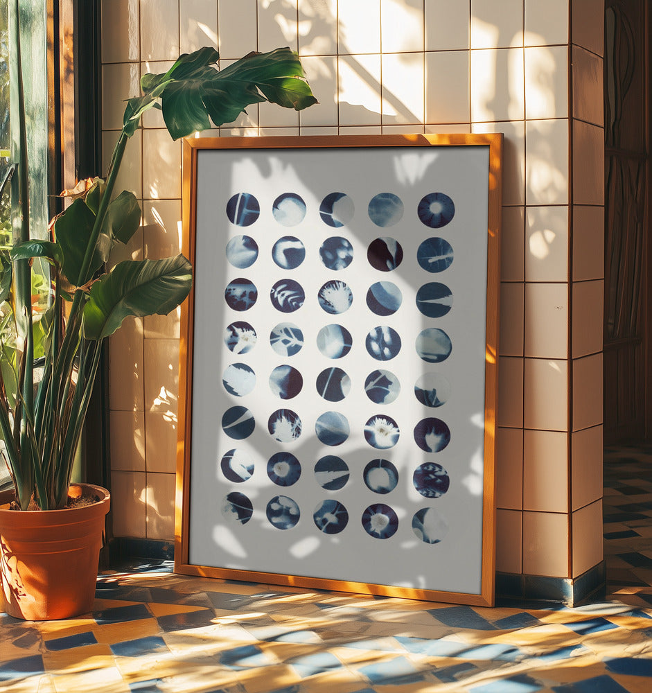 Botanical Cyanotypes | Poster