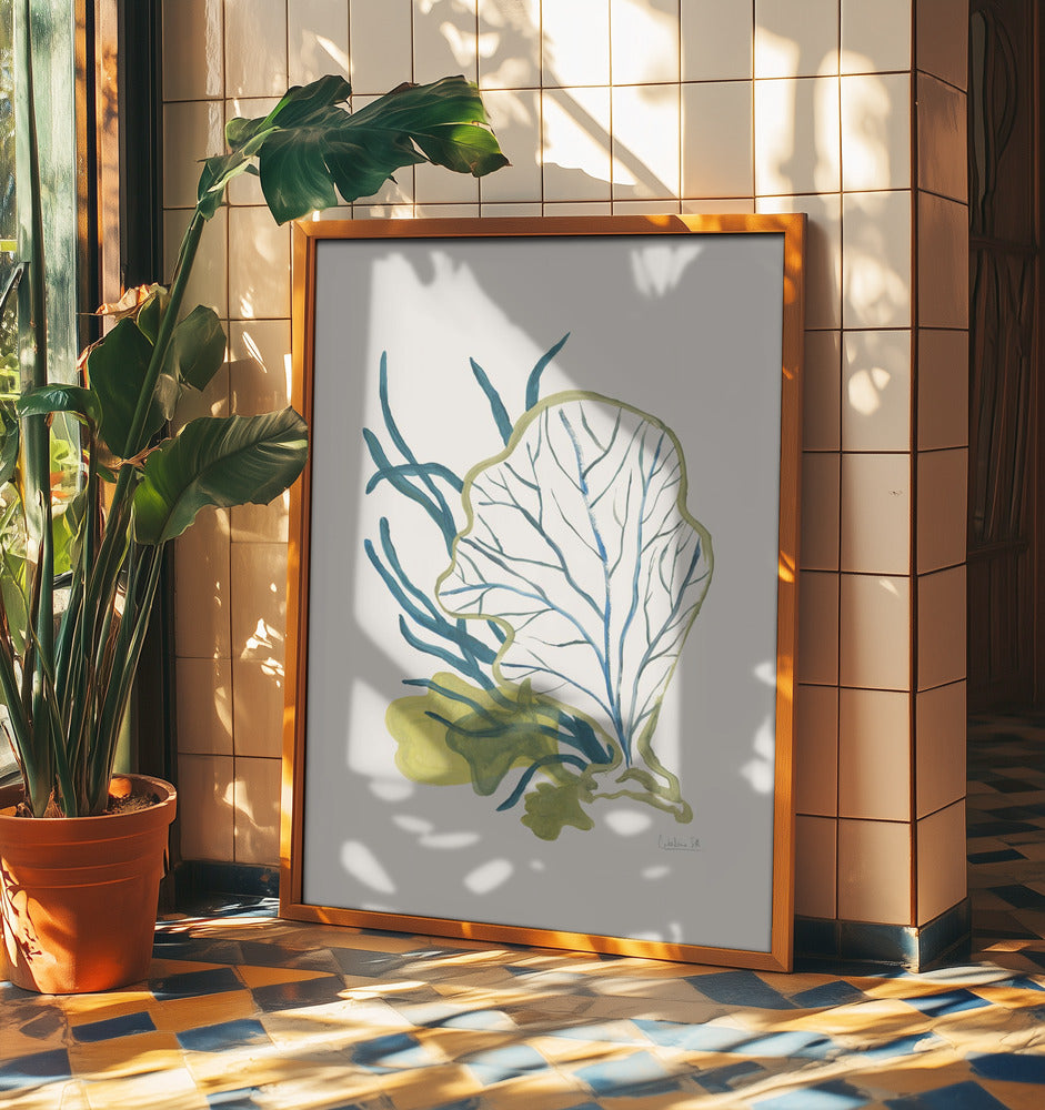 Algae No1 | Poster