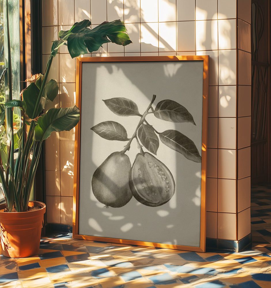 Vintage frukt | Poster