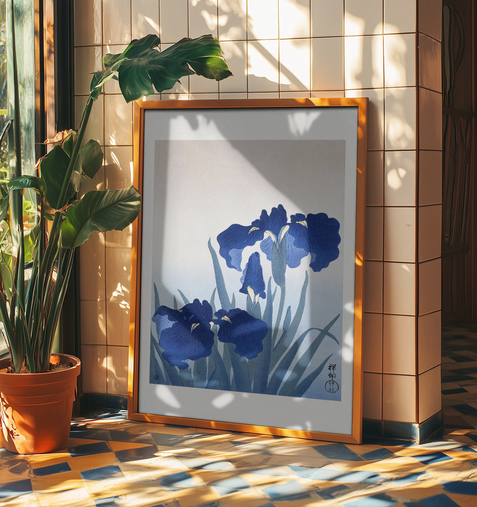 Iris Flowers | Poster