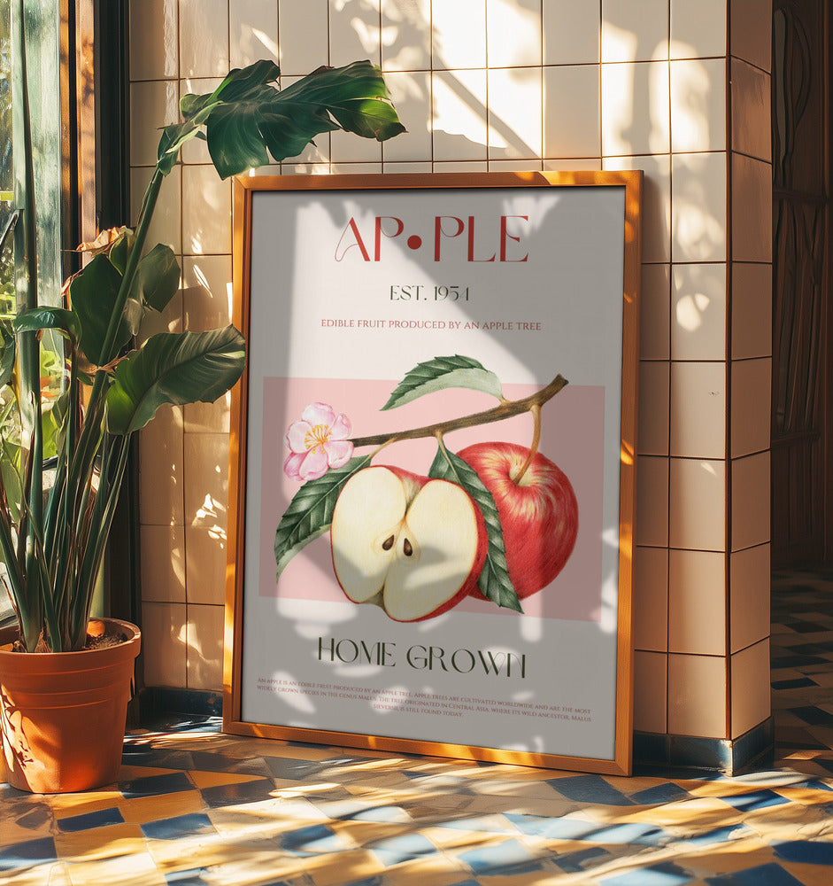 Harvested Apples | Poster