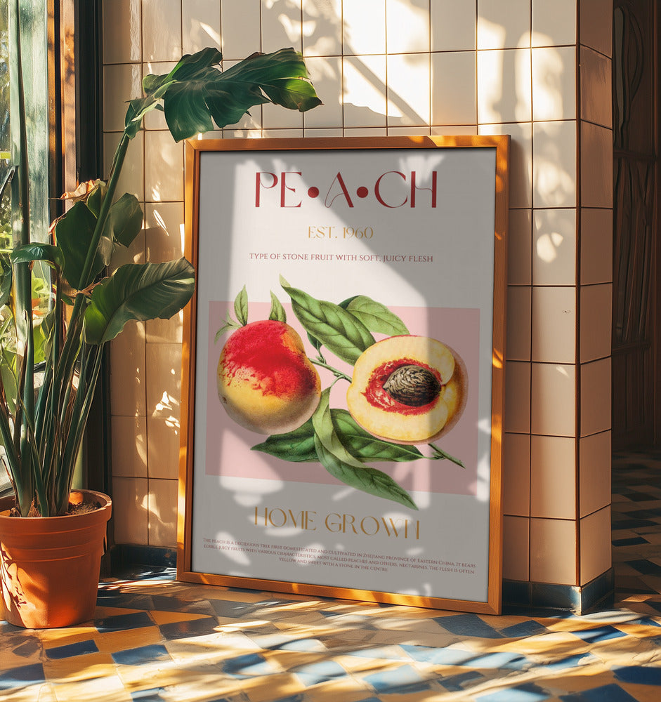 Vintage Style Peach Illustration | Poster