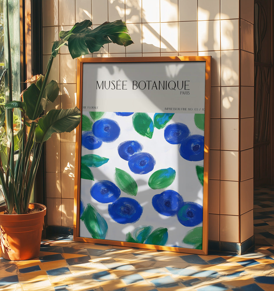 Museebotaniqueno12 | Poster