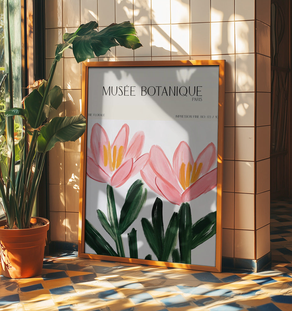 Museebotaniqueno18 | Poster