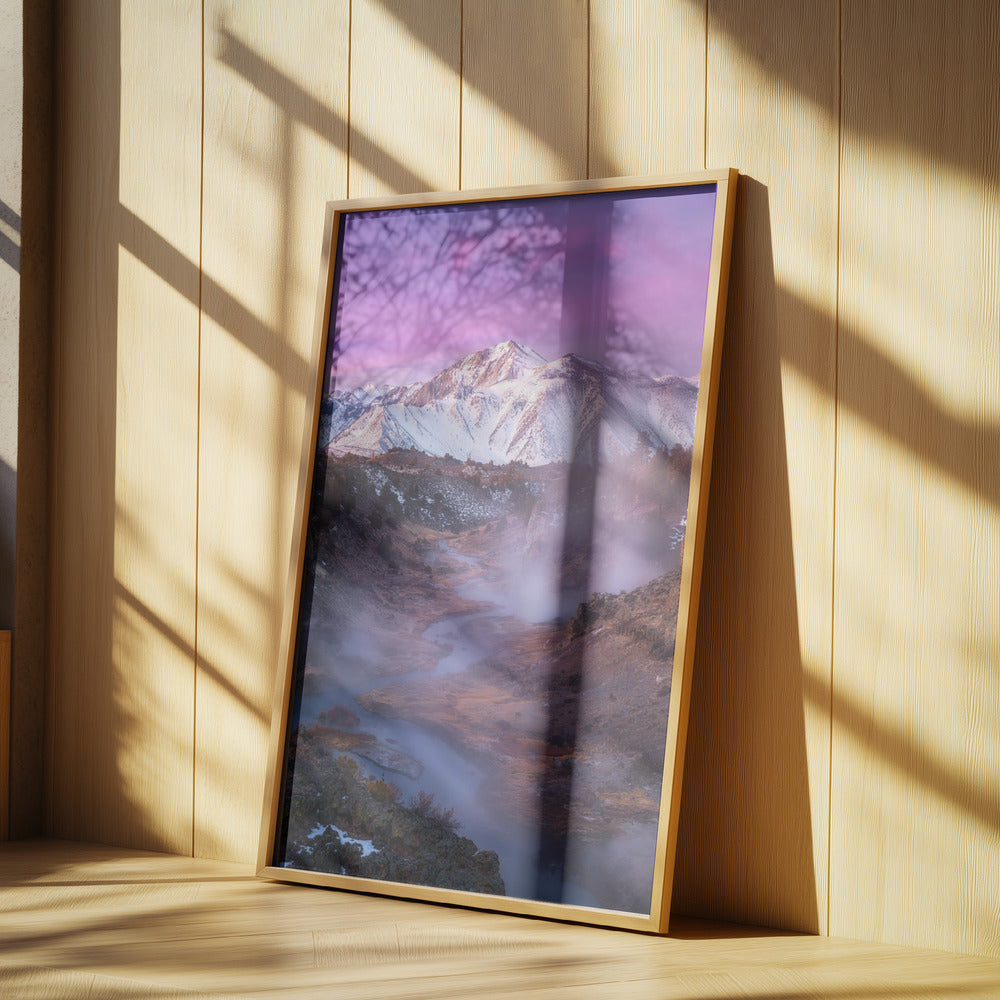 Pink Eastern Sierra | Poster