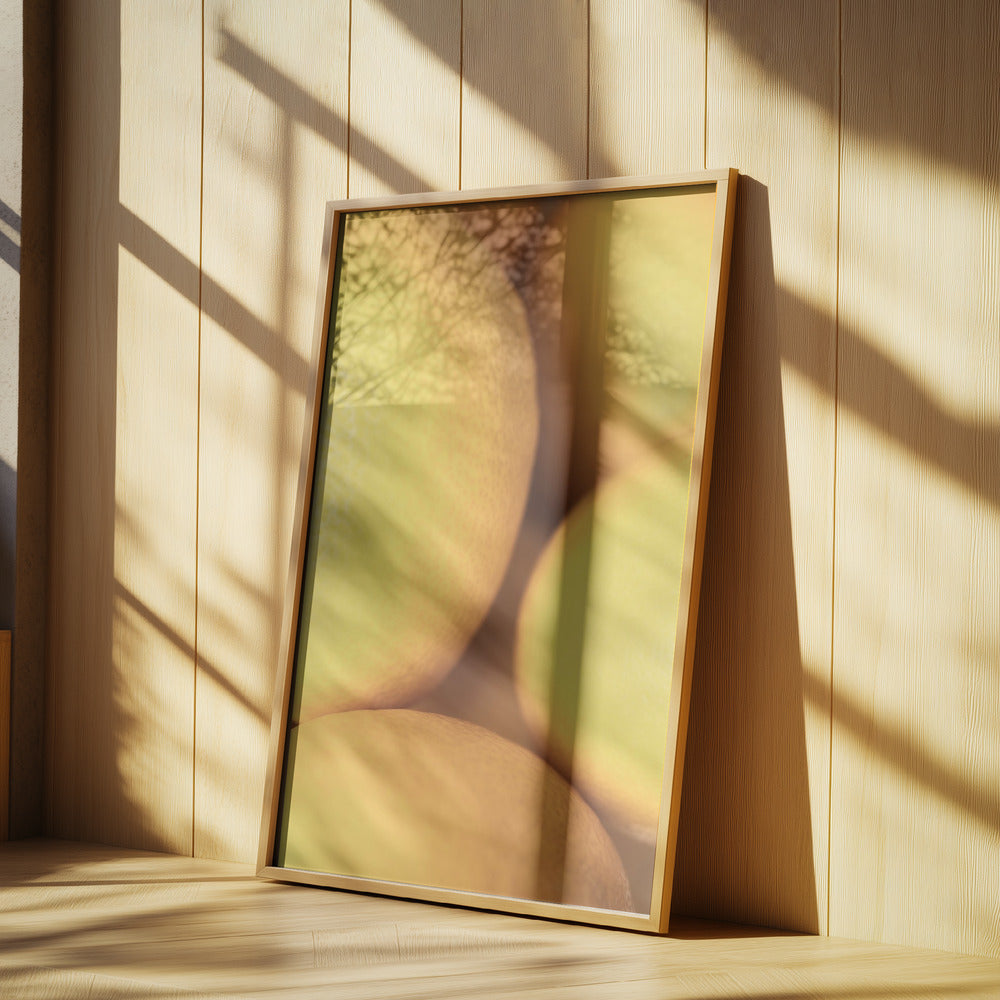 Limoni_2 | Poster - Stampe d’Arte