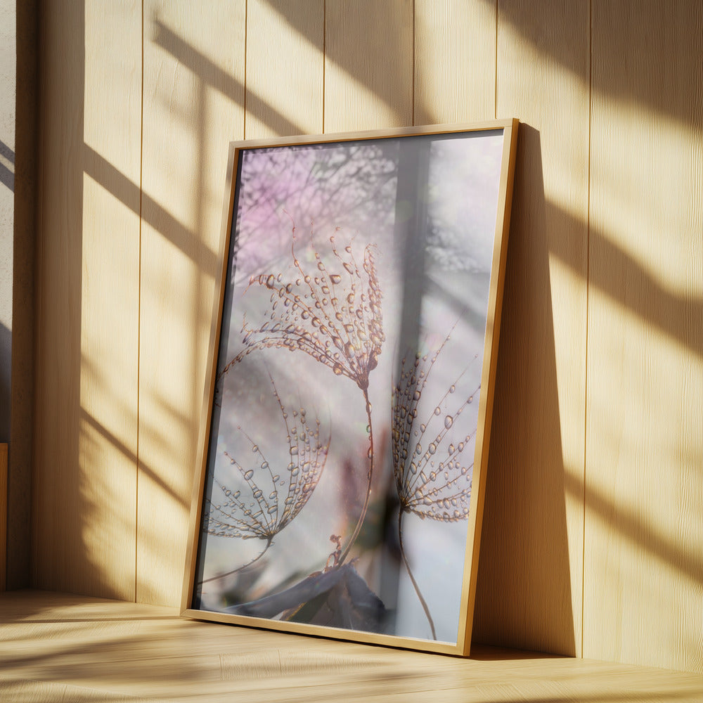 macro | Poster