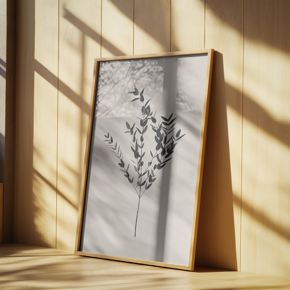 Botanico Inchiostro | Poster - Stampe d’Arte