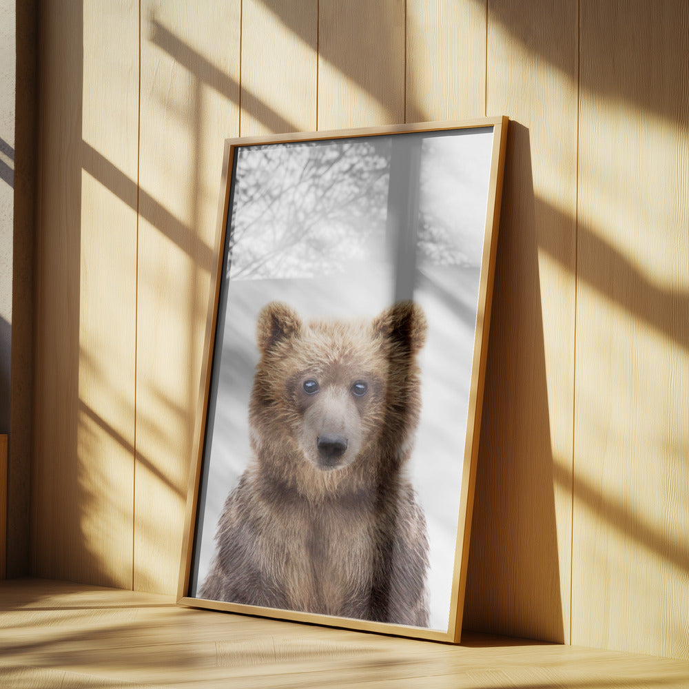 Bébé ours | Posters - Affiche Artistique