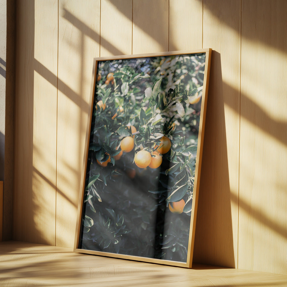 Marrakesh Oranges | Poster