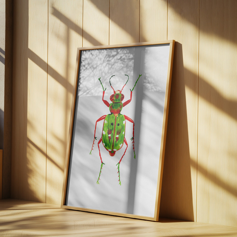 Green tiger beetle or Cicindela campestris | Poster