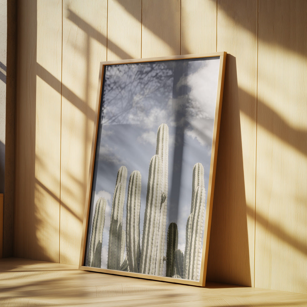 Desert Cathedral No2 | Poster