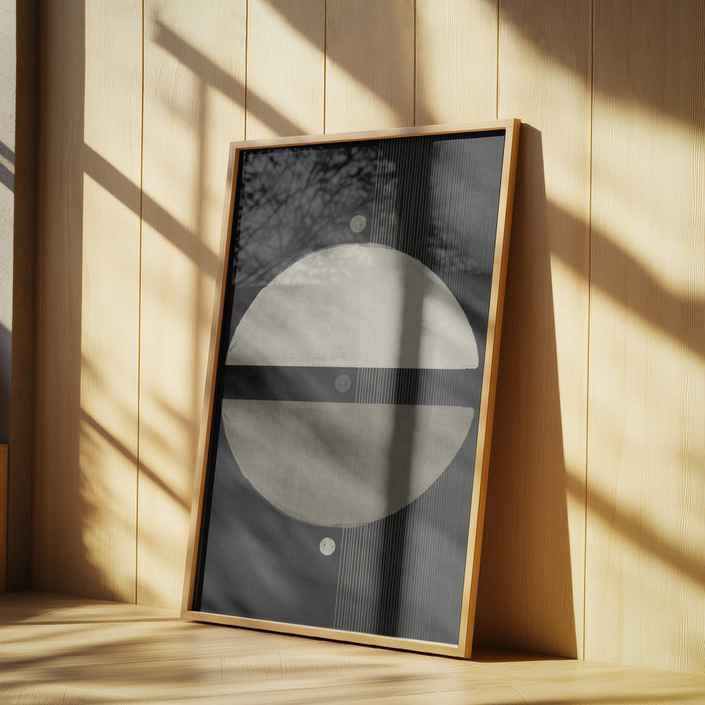 The Neutral Symmetry | Poster