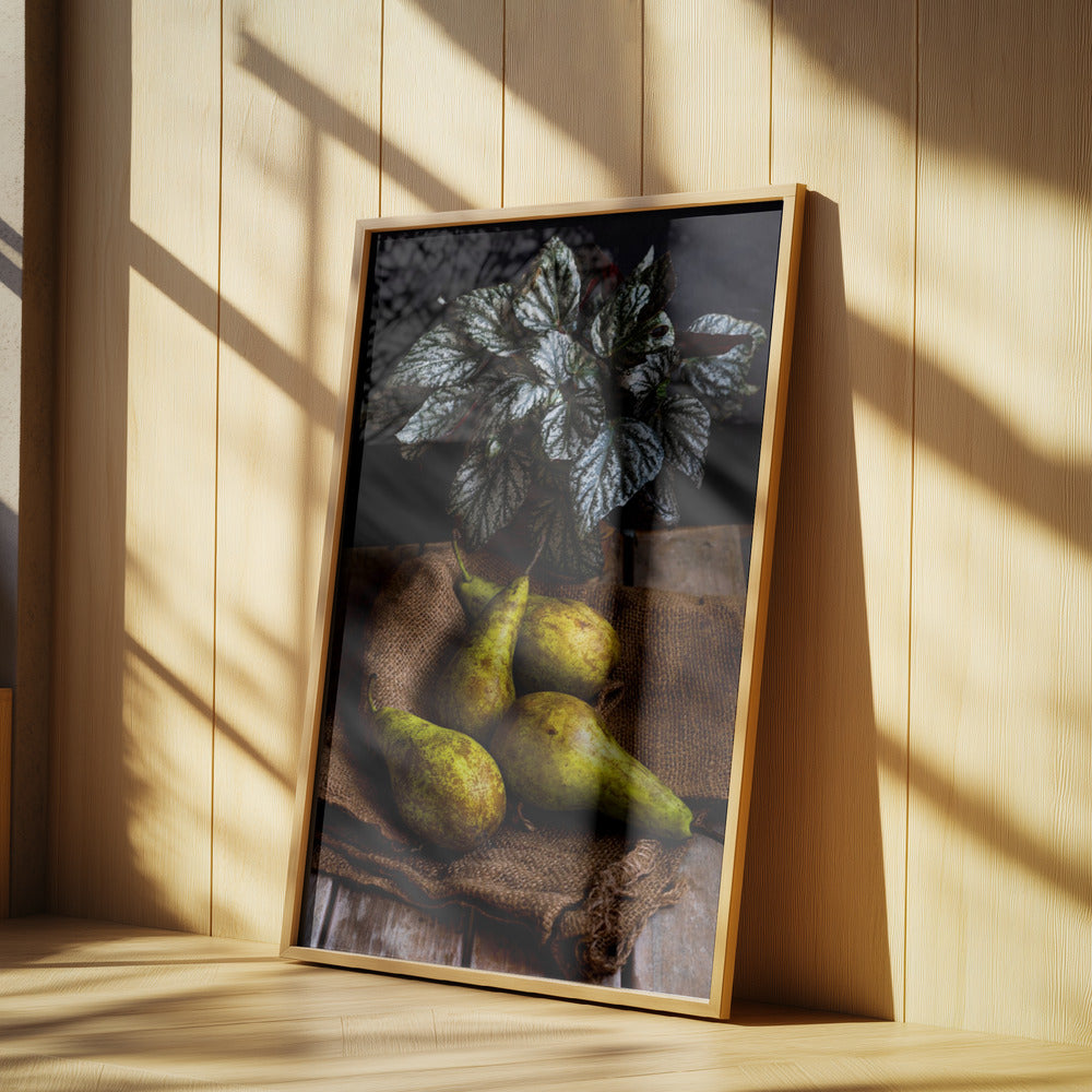 pærer | Plakater - Kunsttryk