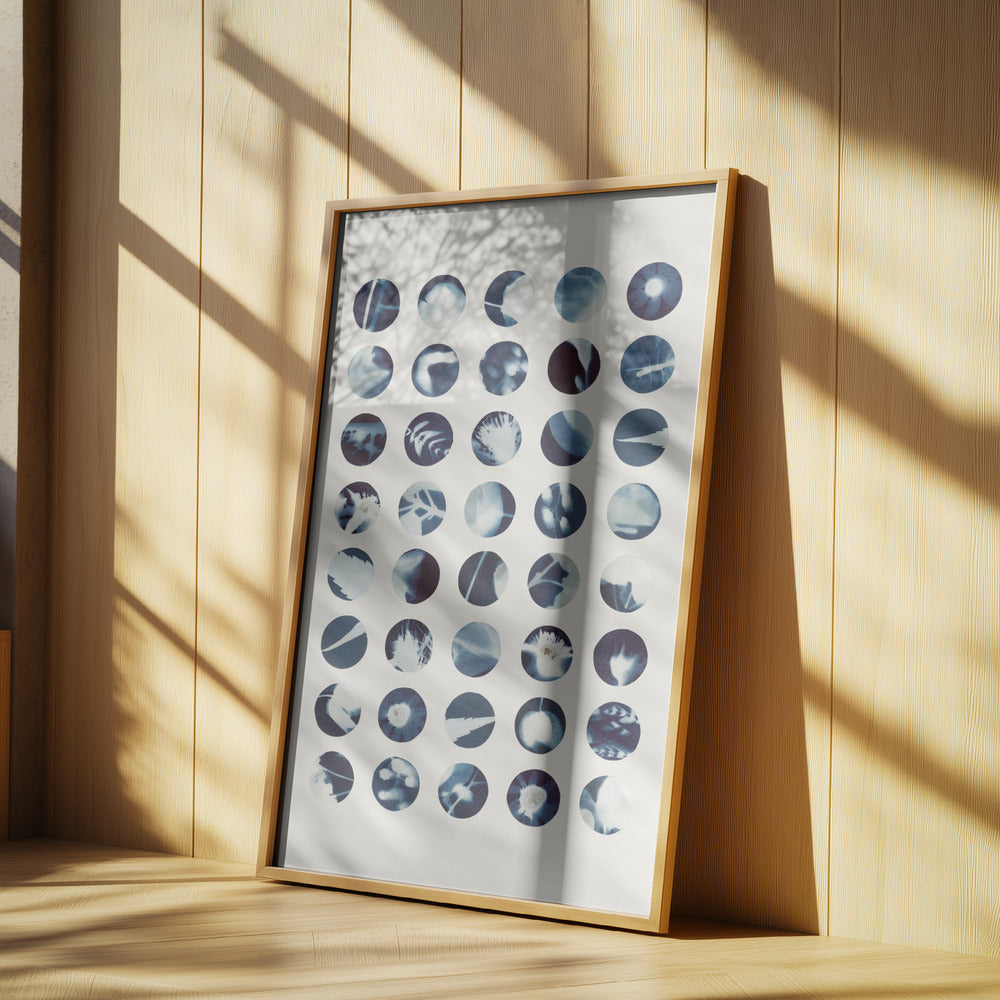 Botanical Cyanotypes | Poster