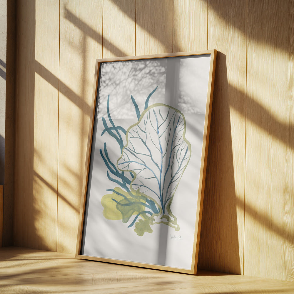 Algae No1 | Poster