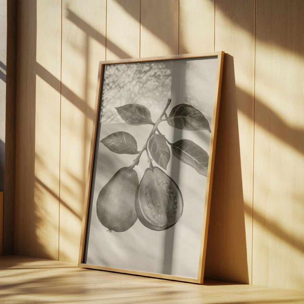 Vintage frukt | Poster
