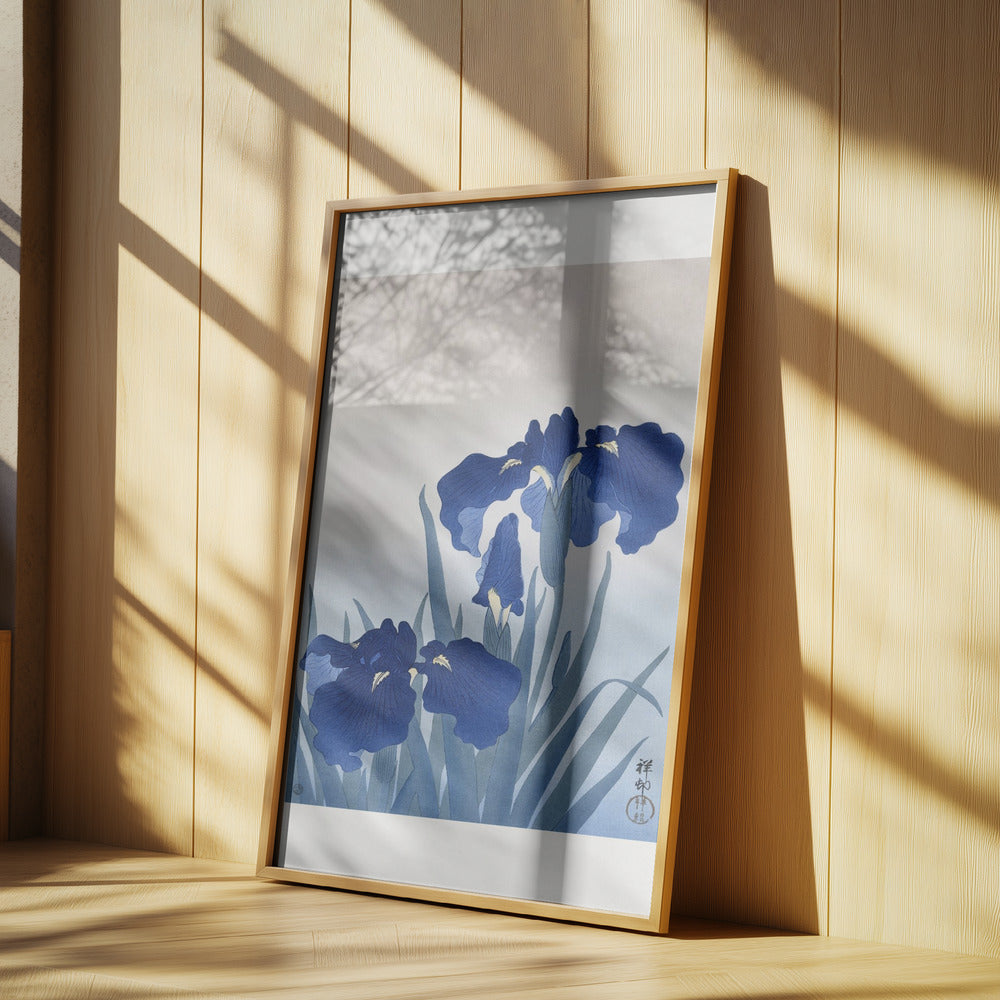 Iris Flowers | Poster