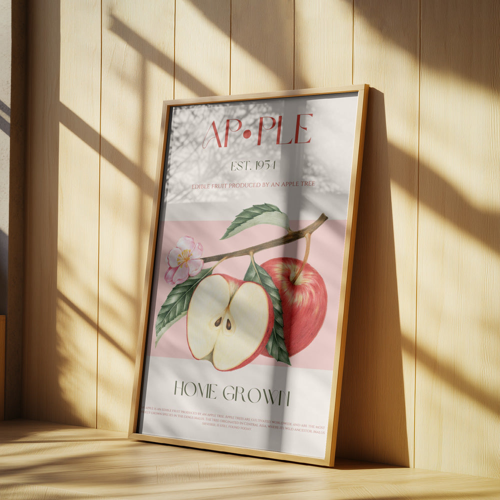 Harvested Apples | Poster
