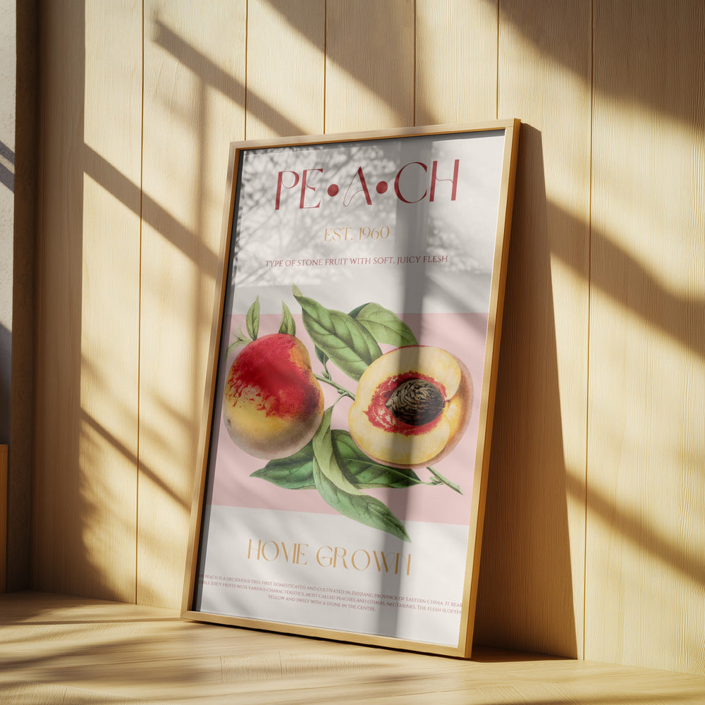 Vintage Style Peach Illustration | Poster
